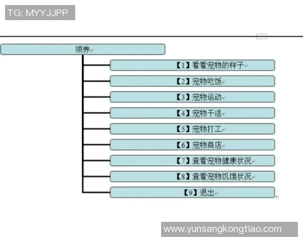 昌原与釜山运输对比分析及结果总结探讨
