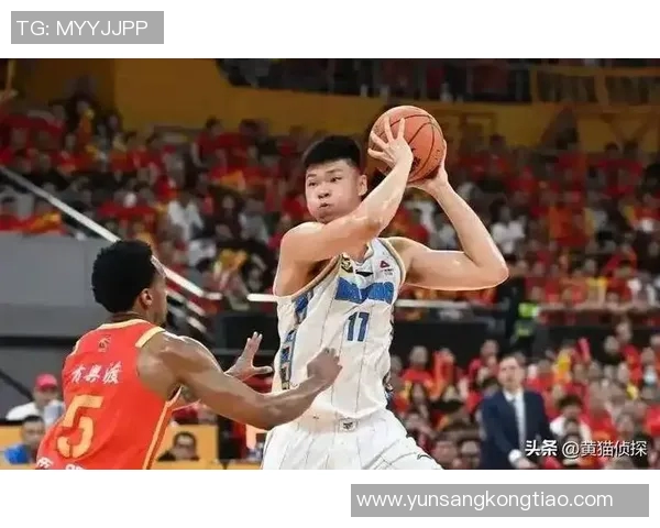 范子铭：从青年才俊到篮球场上的璀璨明星之路探秘