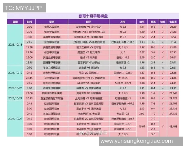 沃尔夫斯堡胜汉堡，领跑积分榜，德甲新王崛起