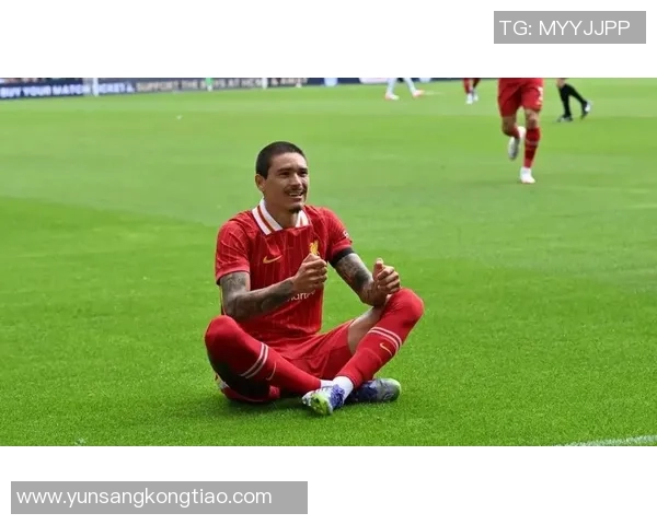 努涅斯在赛季中的精彩表现与未来发展潜力分析