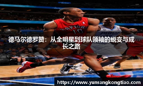 熊猫体育官网版